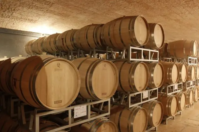 Valpolicella, fûts de chêne français. Dégustation de vins lors d'une randonnée privée. Dégustation de vins lors d'une randonnée privée