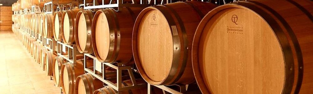 French oak barrels, Valpolicella region, Northern Verona wine tasting
