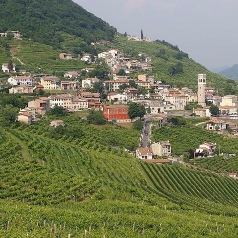 Prosecco wine region, Valdobbiadene. Cellar visit during a day excursion with professional drivers