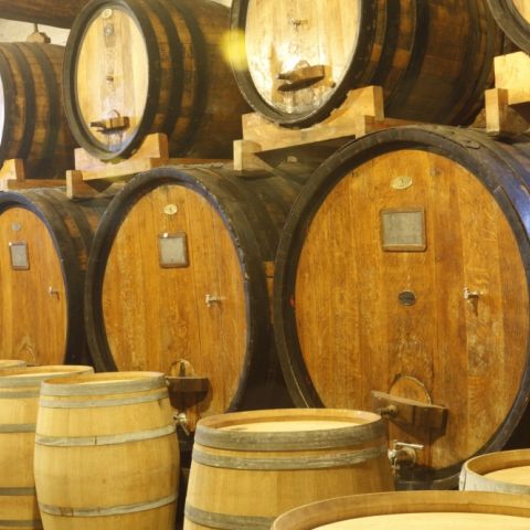 Wine cellar, visit and tasting, private day excursion with professional driver